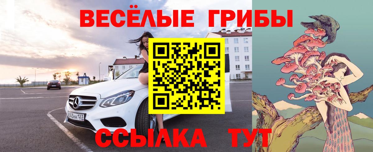 Псилоцибиновые грибы мухоморы Нальчик