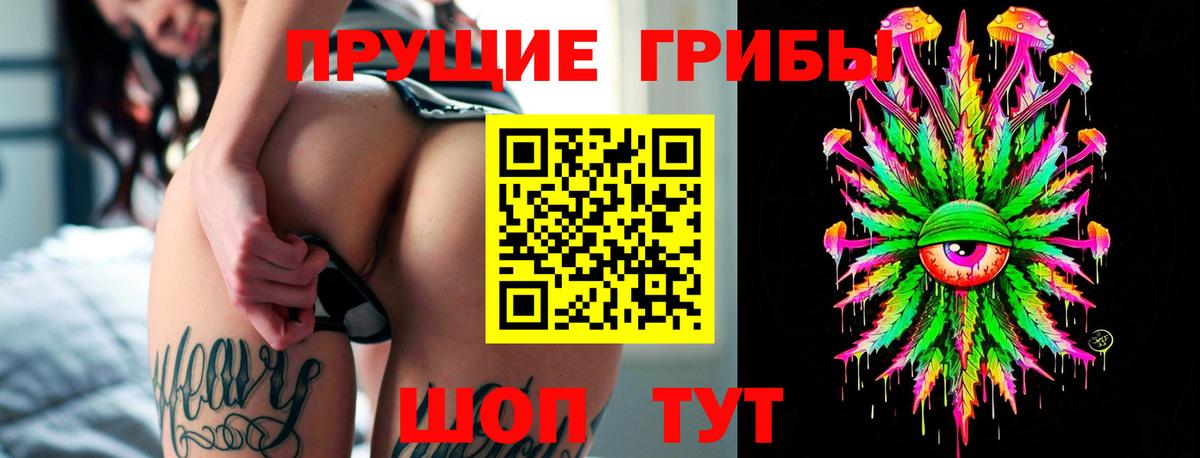 Нальчик  Псилоцибиновые грибы прущие грибы  Вход с VPN 